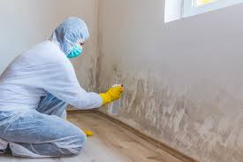 Biohazard Mold Removal in Middletown, CT